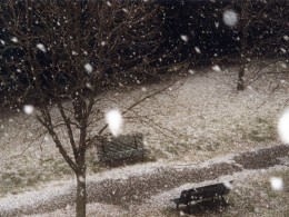 0603 Nevicata - Firenze
