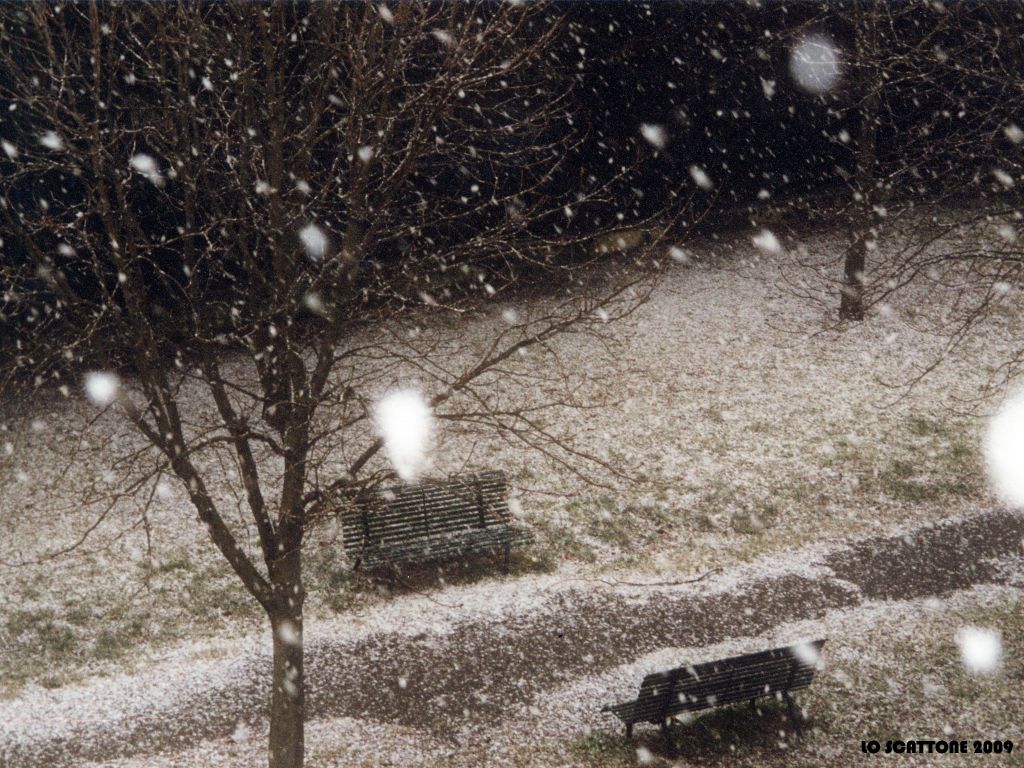 0603 Nevicata - Firenze