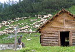 0202 Malga campo Lussi - Asiago (Vi)