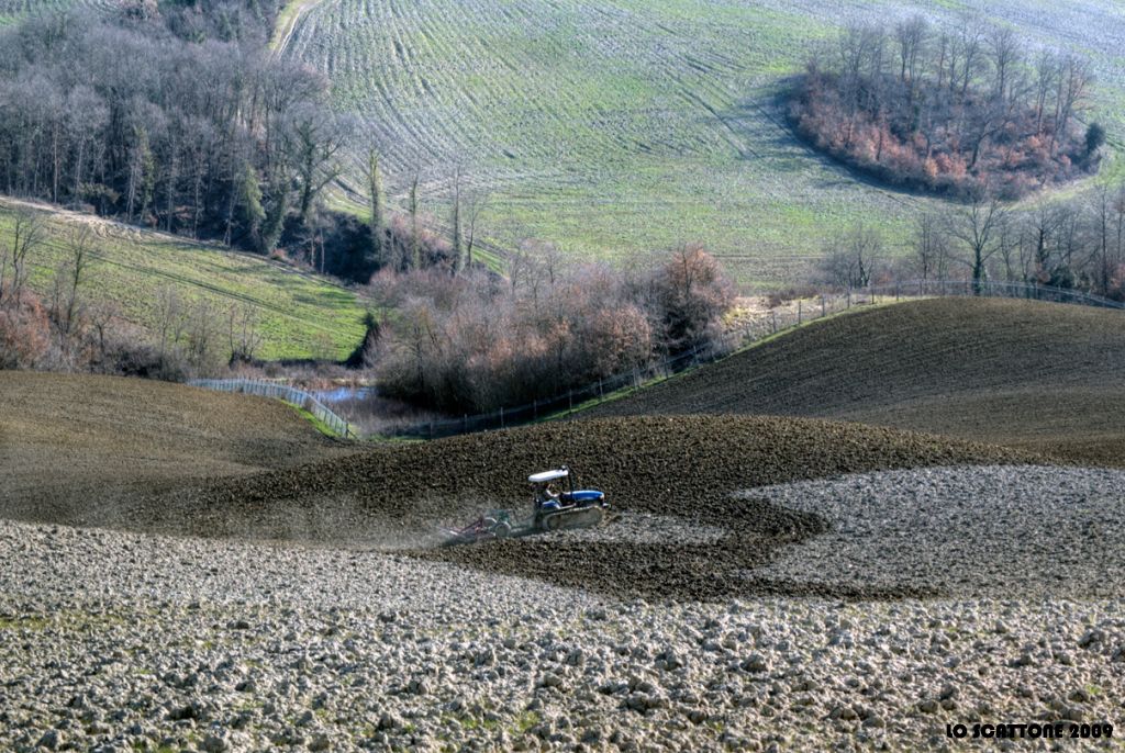 0504 Tempo di semina