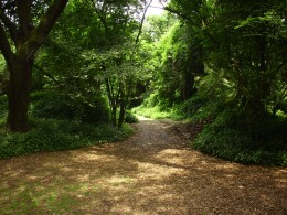 1301 La terra e l'uomo giocano a nascondino - Ninfa