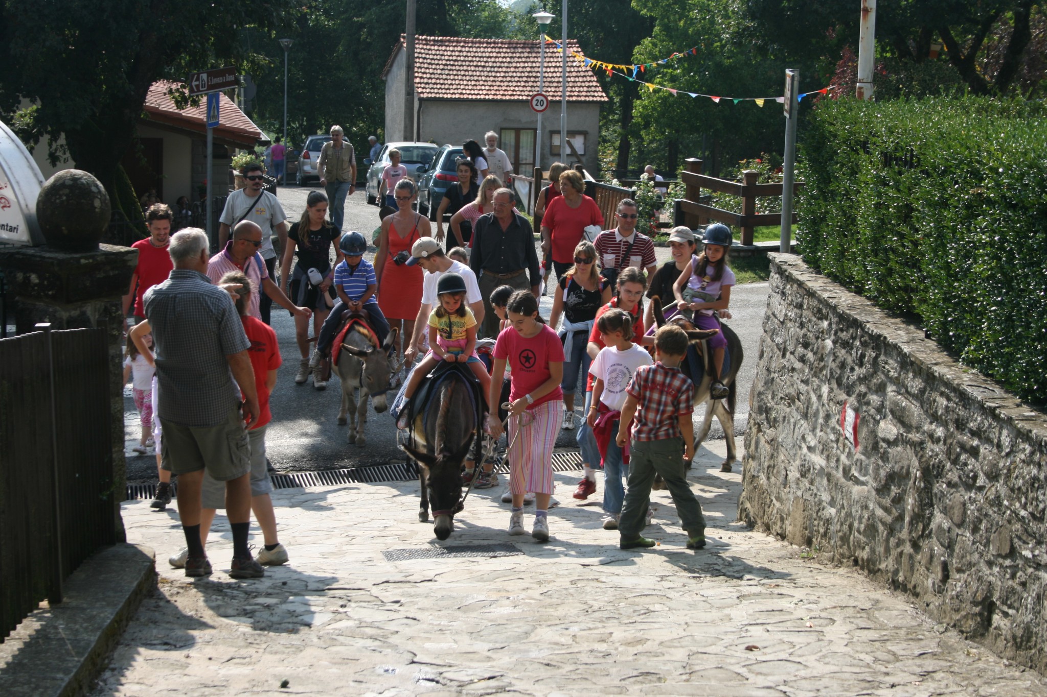 I Ciuchini a Dama (12)