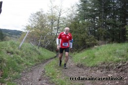 Eco Trail Dama Casentino tra i Borghi di San Francesco e Michelangelo 236