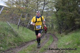 Eco Trail Dama Casentino tra i Borghi di San Francesco e Michelangelo 290