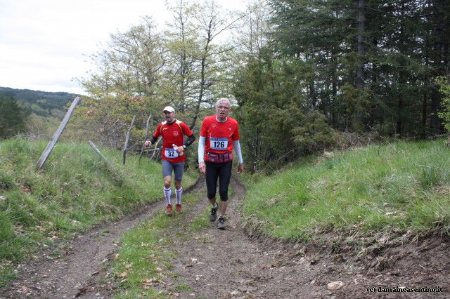 Eco Trail Dama Casentino tra i Borghi di San Francesco e Michelangelo 313