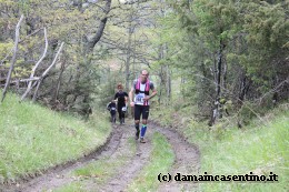 Eco Trail Dama Casentino tra i Borghi di San Francesco e Michelangelo 320