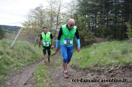 Eco Trail Dama Casentino tra i Borghi di San Francesco e Michelangelo 328