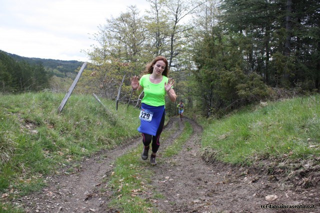 Eco Trail Dama Casentino tra i Borghi di San Francesco e Michelangelo 335