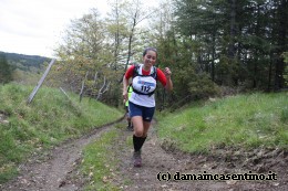 Eco Trail Dama Casentino tra i Borghi di San Francesco e Michelangelo 360