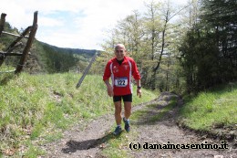 Eco Trail Dama Casentino tra i Borghi di San Francesco e Michelangelo 397