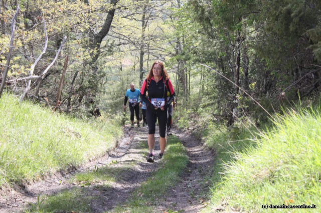 Eco Trail Dama Casentino tra i Borghi di San Francesco e Michelangelo 420