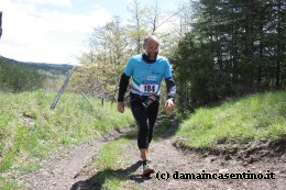 Eco Trail Dama Casentino tra i Borghi di San Francesco e Michelangelo 423