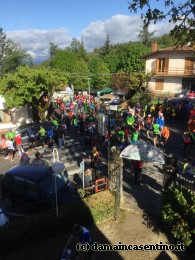 Eco Trail Dama Casentino tra i Borghi di San Francesco e Michelangelo 2016 046