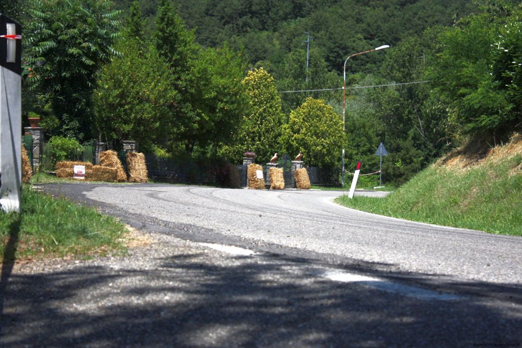 30 Rally Casentino 2010 Foto 046