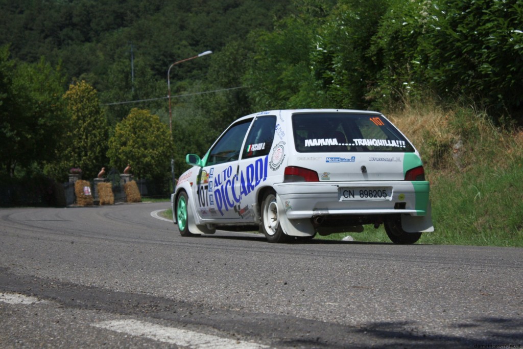 30 Rally Casentino 2010 Foto 228