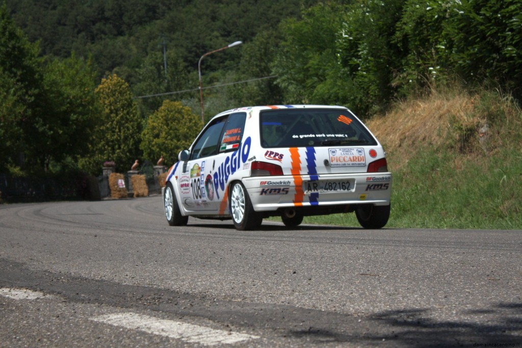 30 Rally Casentino 2010 Foto 231