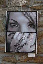 Lo Scattone 2011 Mostra 095