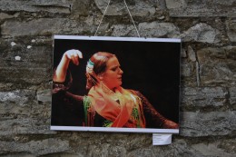 Lo Scattone 2011 Mostra 163