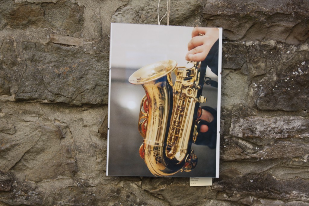 Lo Scattone 2013 Mostra (076)
