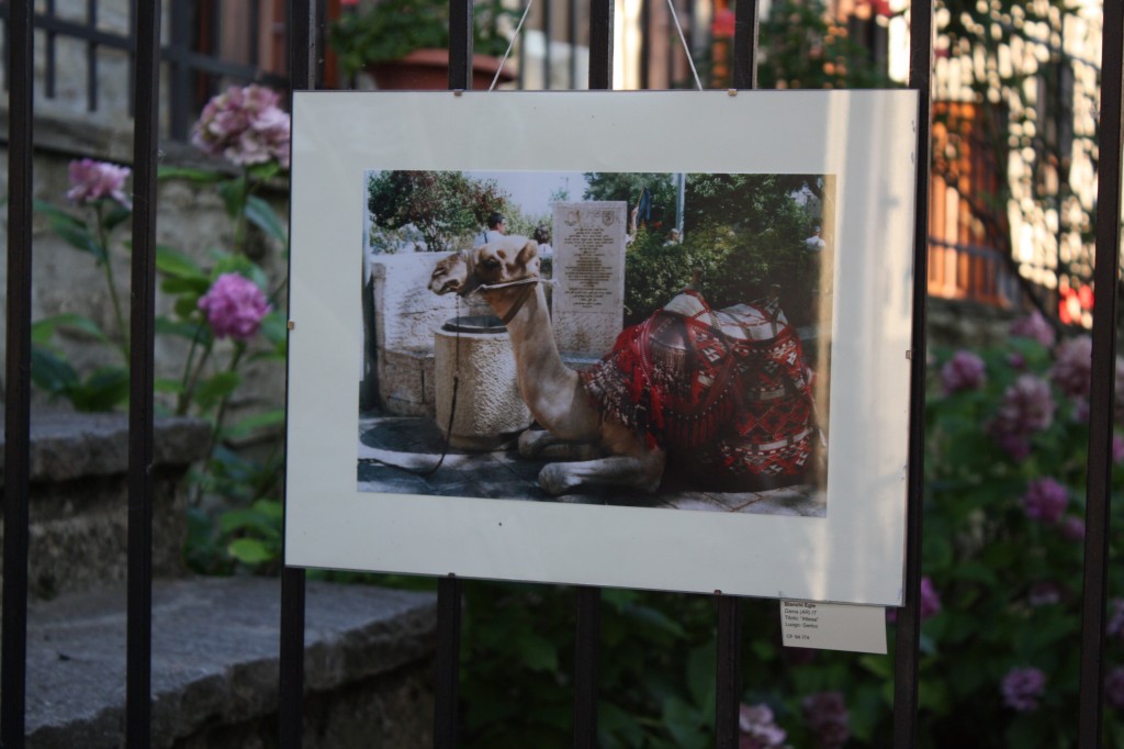 Lo Scattone 2013 Mostra (109)