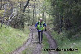 Eco Trail Dama Casentino tra i Borghi di San Francesco e Michelangelo 403
