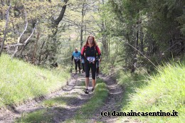 Eco Trail Dama Casentino tra i Borghi di San Francesco e Michelangelo 420