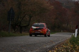Renault Rally Event 2011 017