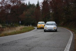 Renault Rally Event 2011 042